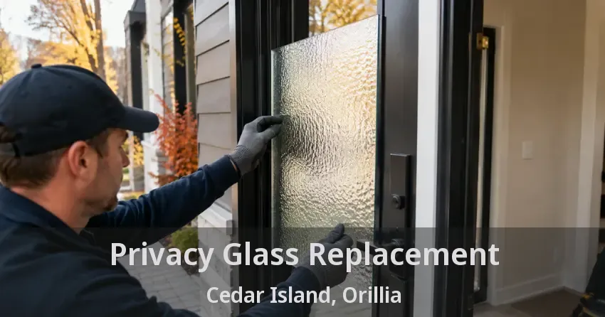 Privacy Glass Replacement Cedar Island, Orillia - ON